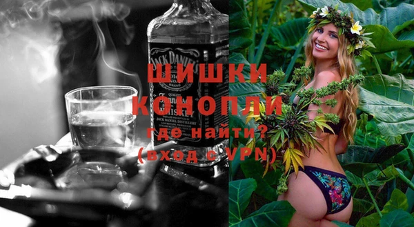 spice Гусев
