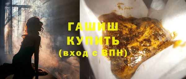 гашик Гусь-Хрустальный