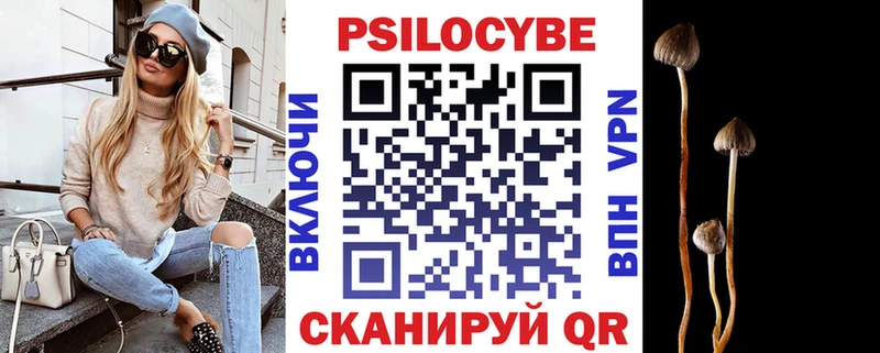 Псилоцибиновые грибы мицелий  нарко площадка официальный сайт  Коммунар 